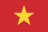 Vietnamese National Cup