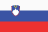 V\u0110QG Slovenia